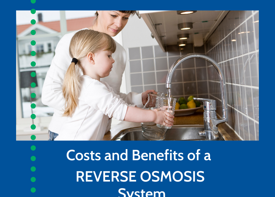 Costs and Benefits of a Reverse Osmosis System